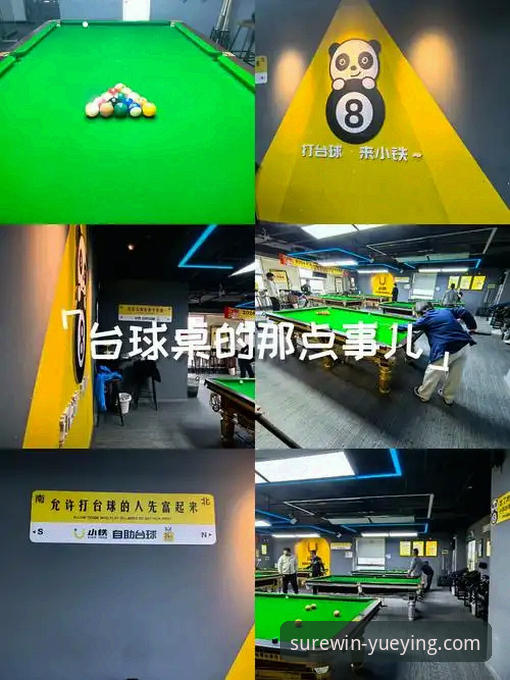 揭秘悦盈体育互动娱乐的深度体验：老用户带你避开这些常见误区